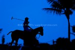 April 10th 2011 - Polo Championship